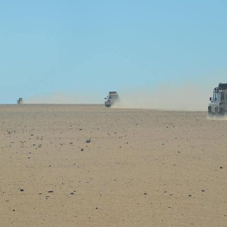 Siwa Paradise シワ・オアシス エクステリア 写真